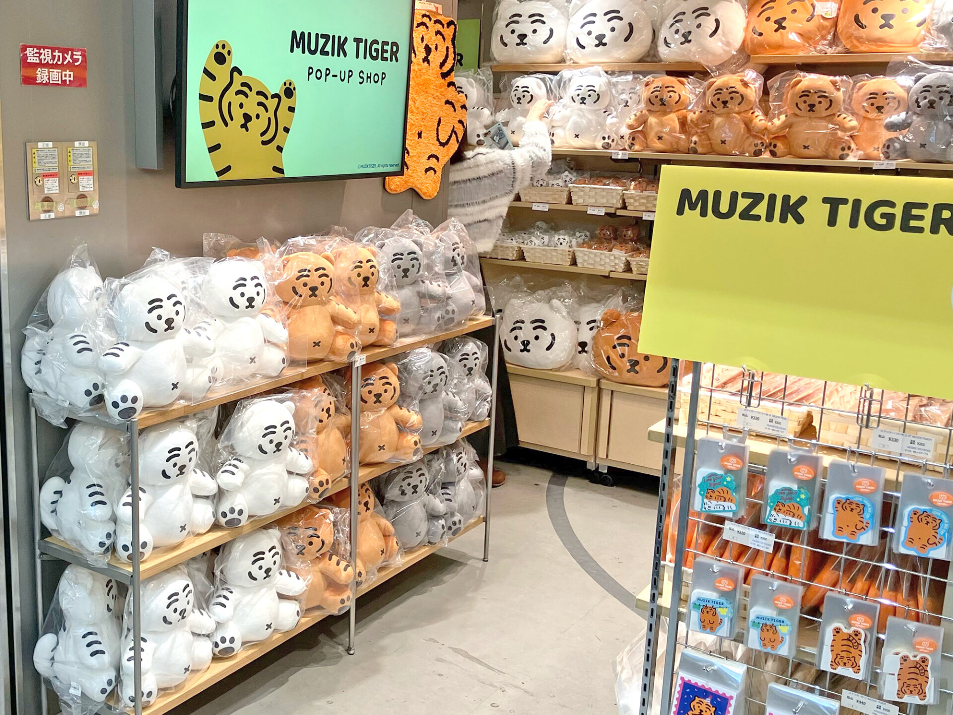 1月17日(水)オープン！MUZIK TIGER POP-UP SHOP＠JR大阪駅