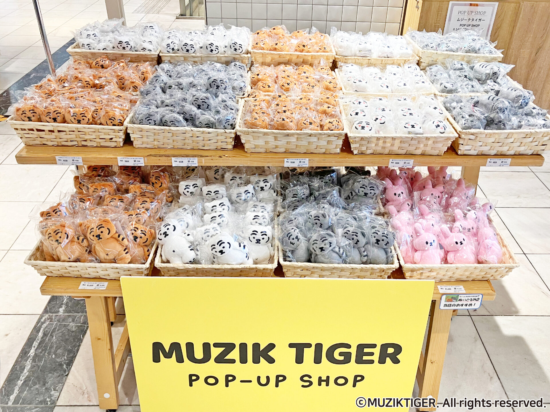 8/14(水)オープン！MUZIK TIGER POP-UP SHOP＠京阪モール (大阪)