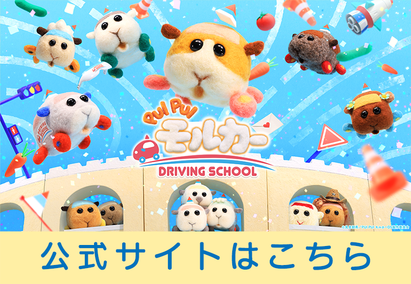 TVアニメ 『PUI PUI モルカー DRIVING SCHOOL』公式サイトはこちらから