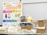 タヌキとキツネ ～お山のお寿司やさん～ POP-UP SHOP@いちばんプラザ